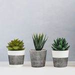 plastico-adesivo-para-decoracao-leotack-cimento-queimado-79108-2