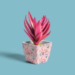 plastico-adesivo-para-decoracao-leotack-jardim-79116-2