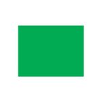 folha-eva-verde-grama-4711-2