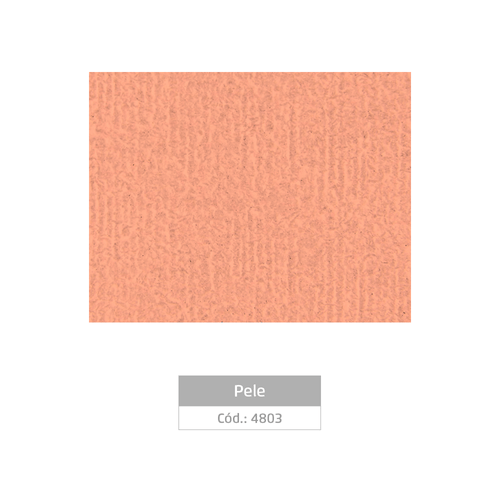 Placa Eva Atoalhado 40Cmx48Cm Pele Pct/5 Folhas Leoarte
