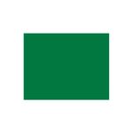 folha-eva-verde-4956-2