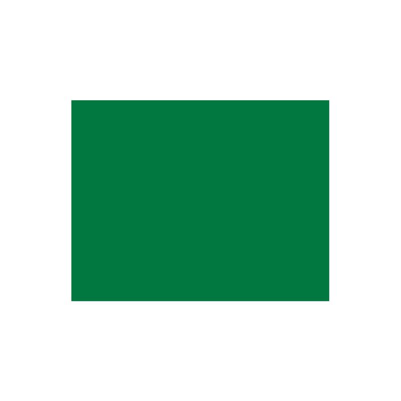 folha-eva-verde-4956-2