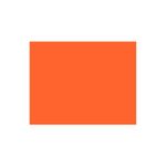 folha-eva-laranja-4903-2