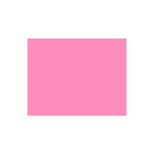 Placa Eva Color 40Cmx60Cm Rosa Pct/10Folhas Leoarte