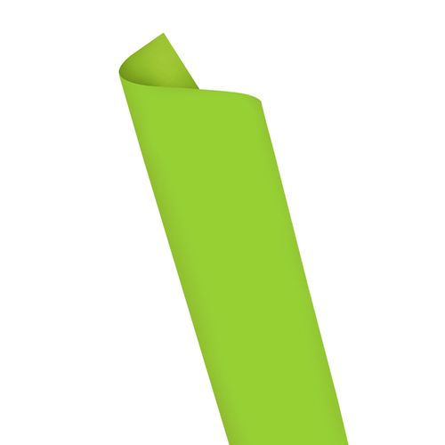 Placa Eva Color 40Cmx60Cm Verde Claro Pct/10Folhas Leoarte