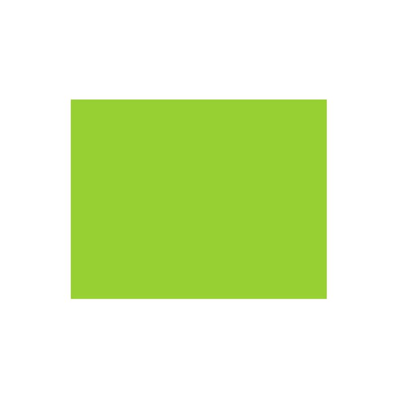 folha-eva-verde-claro-4912-2
