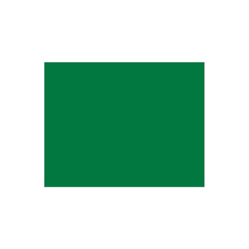Placa Eva Color 40Cmx48Cm Verde Pct/10Folhas Leoarte