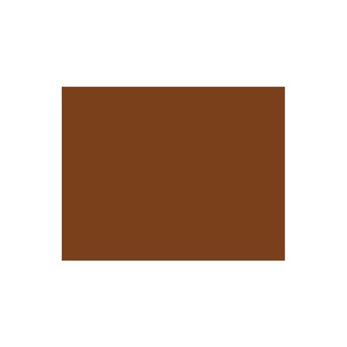 Placa Eva Color 40Cmx48Cm Marrom Pct/10Folhas Leoarte