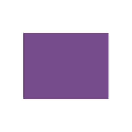Placa Eva Color 40Cmx48Cm Roxo Pct/10Folhas Leoarte