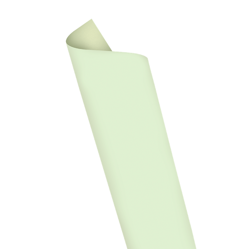 folha-de-eva-verde-pastel-79709