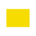 folha-eva-amarelo-4807-2