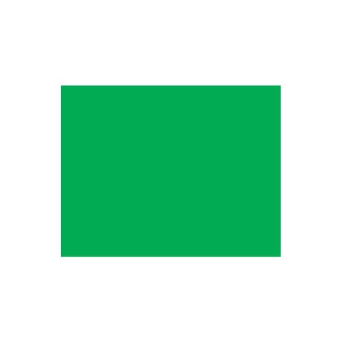 Placa Eva A4 Color Verde Grama 20X30Cm 5F Leoarte