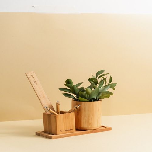 Régua De Bambu Plantaholic 30Cm Leo Arte
