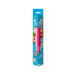 LAPIS_DE_COR_12_CORES_TRIANGULAR_LOONEY_TUNES_LEOELEO_4679_EMBALAGEM