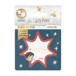 10012_bloco-adesivo-harry-potter-blister-com-1-bloco-com-formato-20-folhas-10012-1--1-