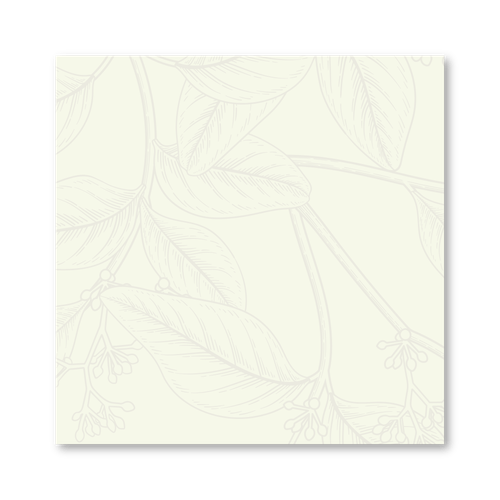 BLOCO ADESIVO FOLHA DE ARROZ PLANTA HOLIC - BLISTER C/ 1 BLOCO 50F LEOARTE